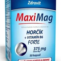 ZDROVIT MAXI MAG HORCIK+B6 FORTE