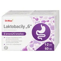 Dr. Max Laktobacily "6"