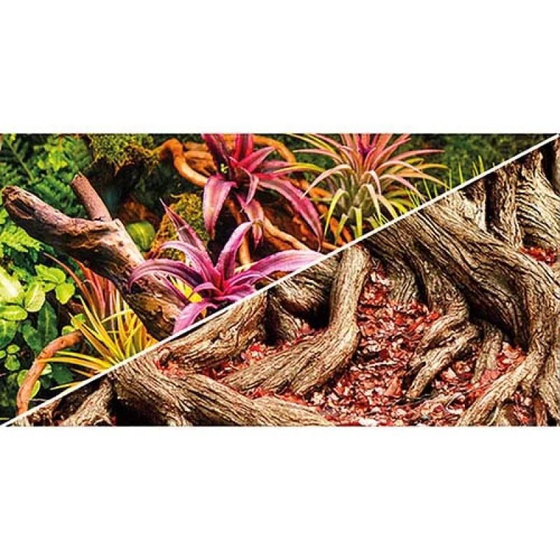 HOBBY Pozadie obojstranné Jungle / Strangler Fig 60cm x 25m 