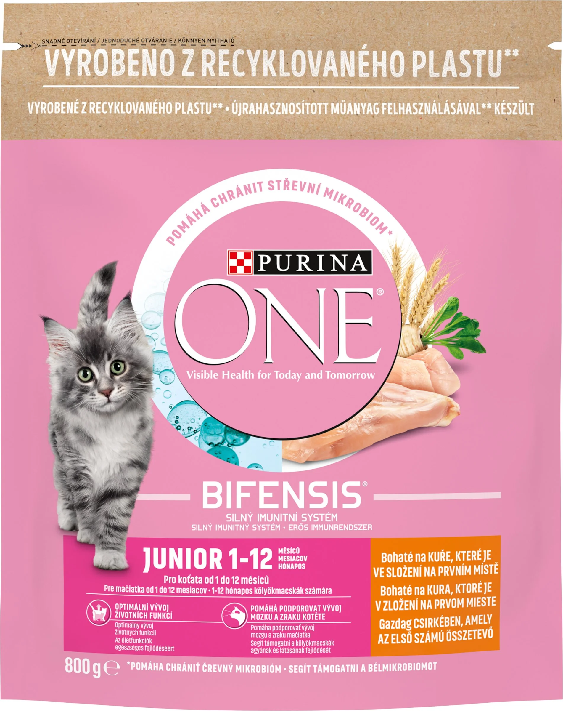 Purina ONE 800g Junior s kuracím a celozrnnými obilninami