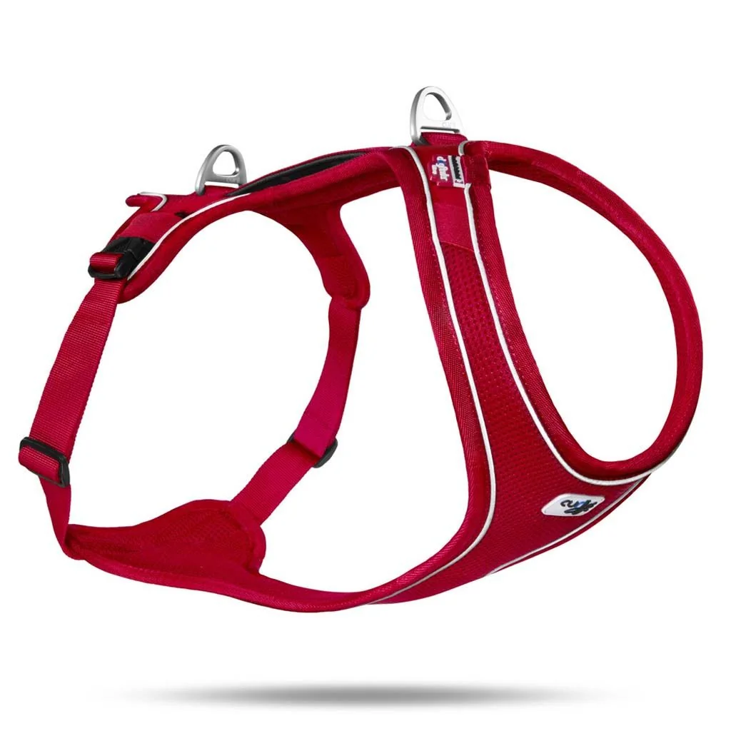 CURLI Postroj pre psy Belka Comfort Red XS, 15-20 kg