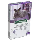 Advantage S.O. Antiparazitikum Mačka 4kg+ Fialovy 4×08ml