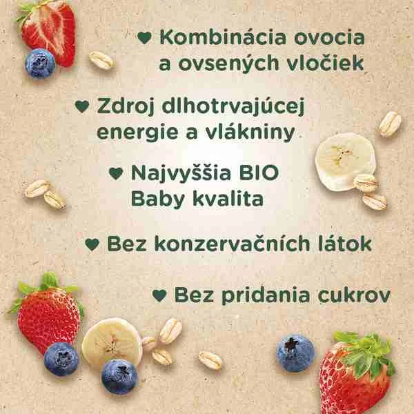 SUNAR BIO HOPSACEK jahoda, banán, čučoriedka, ovos 1×100 g, ovocný príkrm