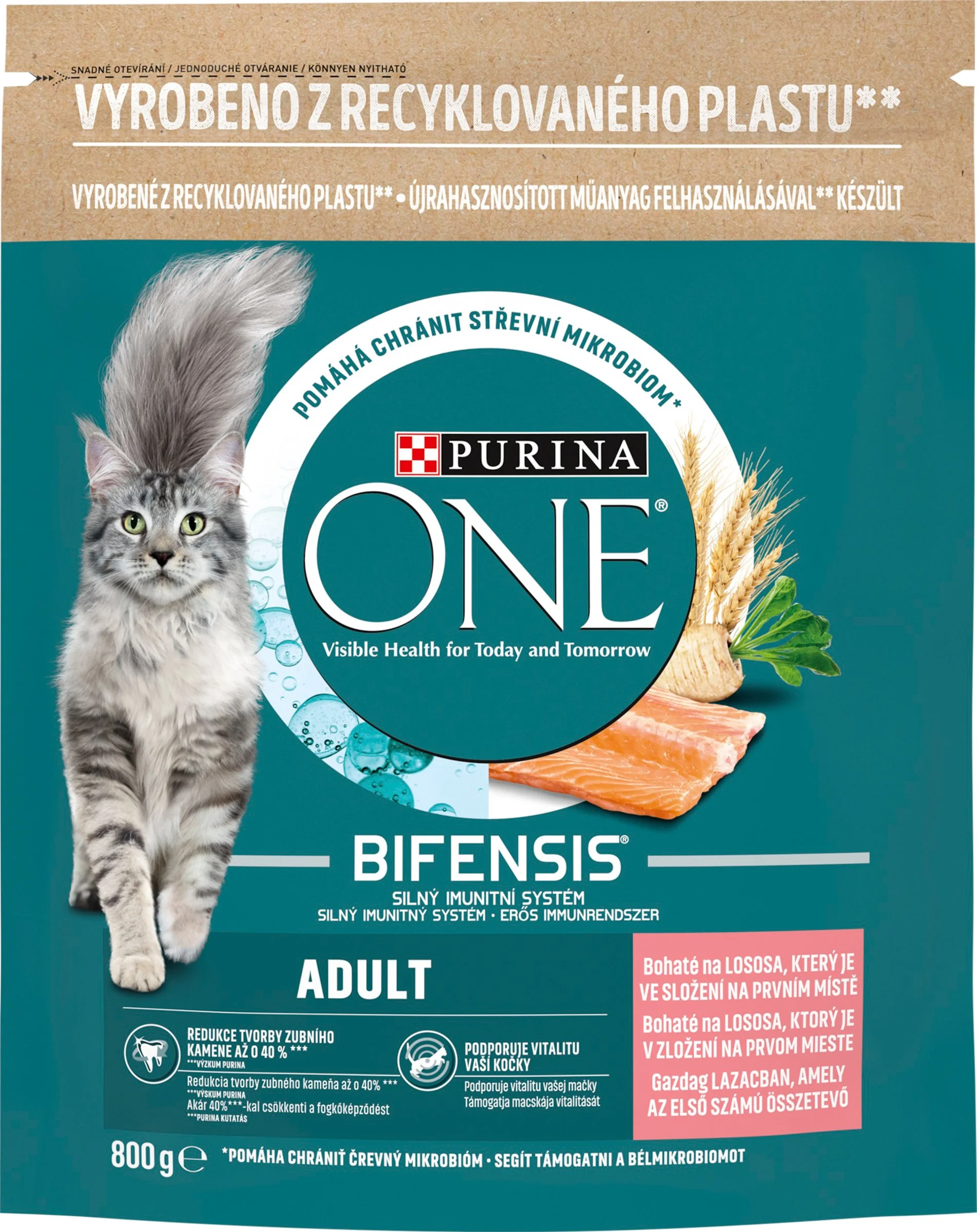 Purina ONE 800g Adult s lososom a celozrnnými obilninami