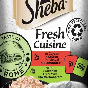 Sheba Fresh Cuisine Taste of Rome