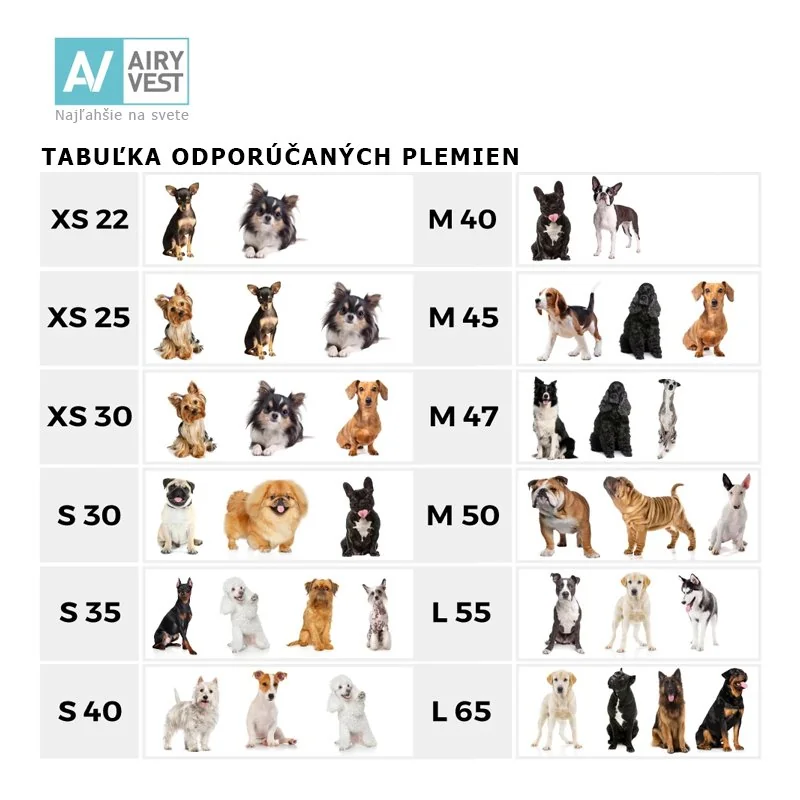 Teplá vesta pre psa AiryVest LUMI svietiaca v tme, Veľkosť: L55, Farba: modrá 