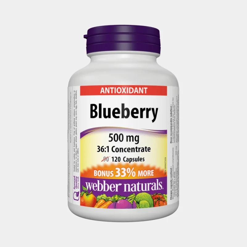 WEBBER NATURALS Čučoriedka 500 mg 36:1