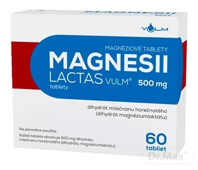 MAGNESII LACTAS VULM 500 mg