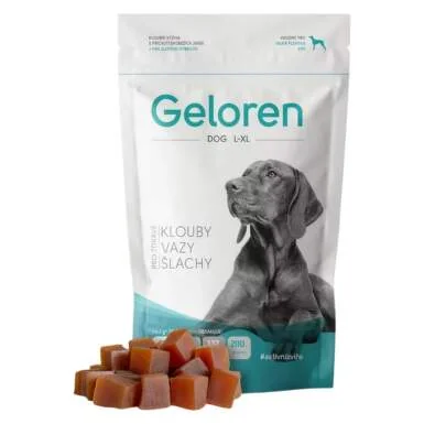 Geloren Large Dog