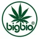 BigBio