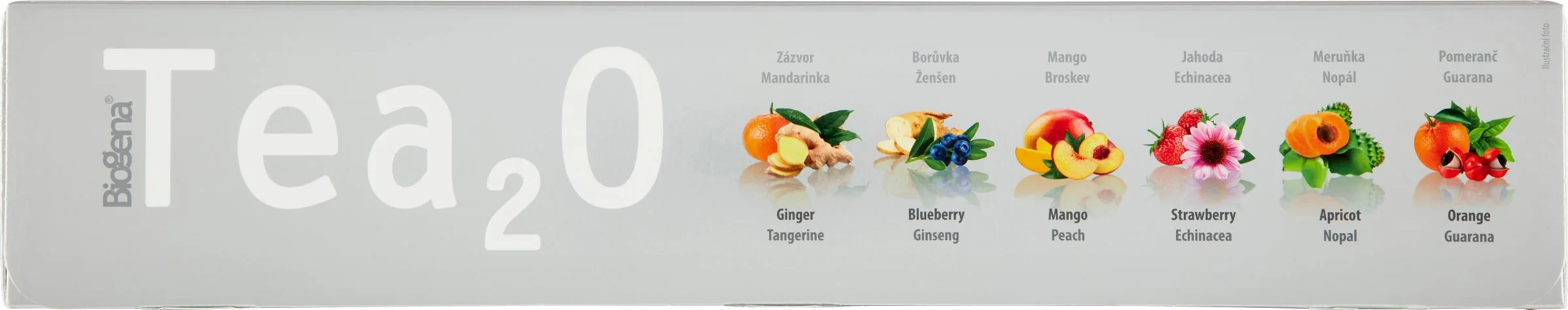 Biogena Tea2O MAXI