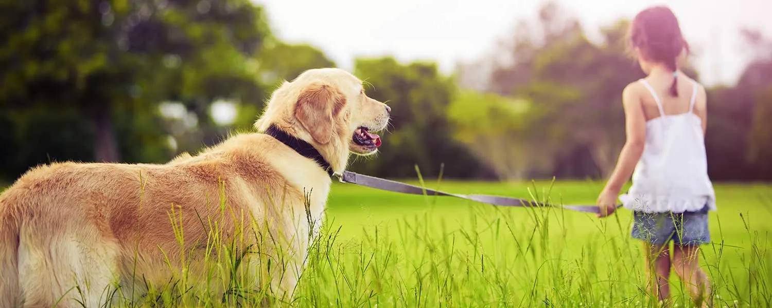 Aké veterinárne prípravky nájdeme v lekárni?