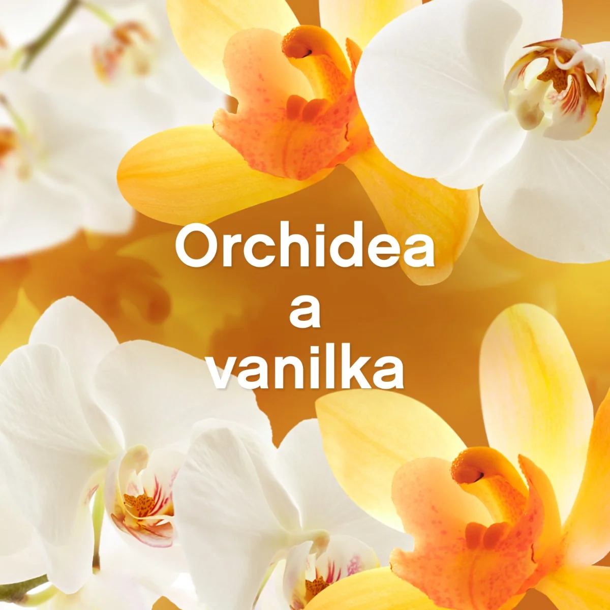 Lenor Bundle pack Orchid & Vanilla  (2x1200ml) 2×1200 ml, aviváž