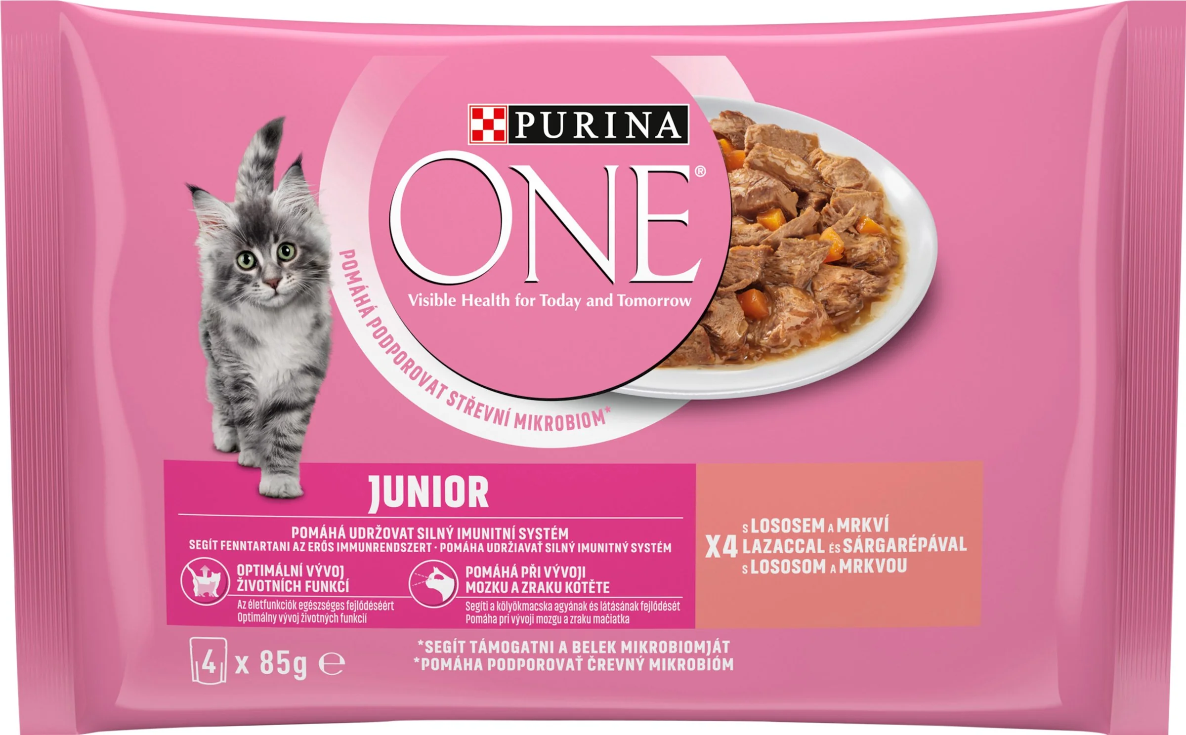 PURINA ONE Multipack JUNIOR mini filetky s lososom a mrkvou v šťave 12(4x85g)