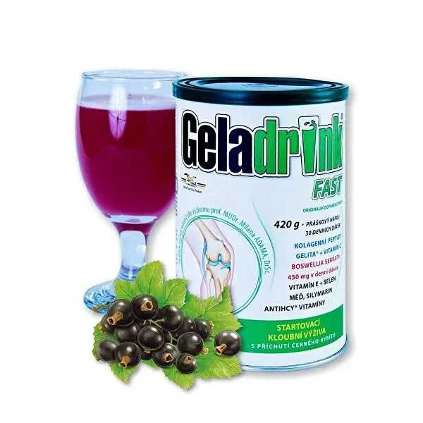 GELADRINK FAST 420G CIERNA RIBEZLA