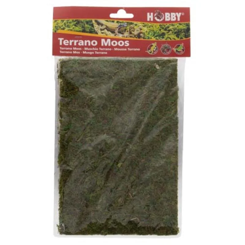 HOBBY Terrano  natural moss - sušený prírodný mach 