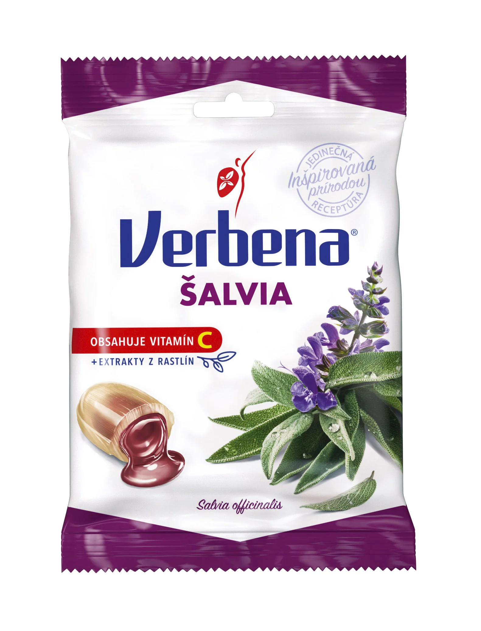 Verbena šalvia