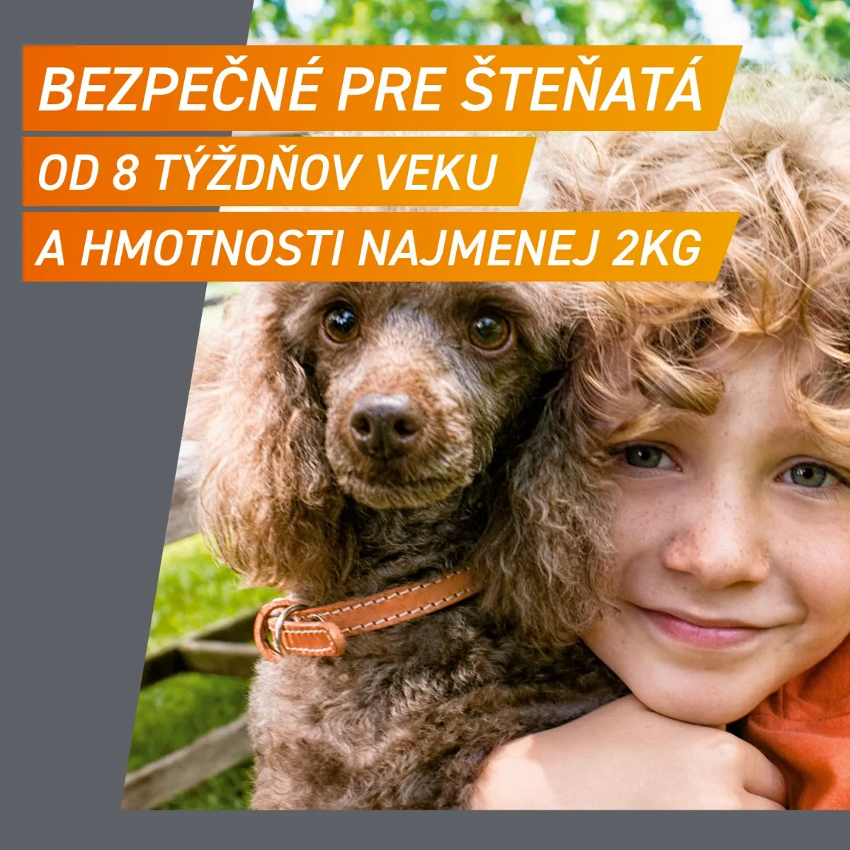 FRONTPRO® antiparazitárne žuvacie tablety pre psy (4-10 kg) 1×3 tbl, antiparazitárne tablety