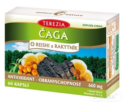 TEREZIA ČAGA + REISHI a RAKYTNÍK