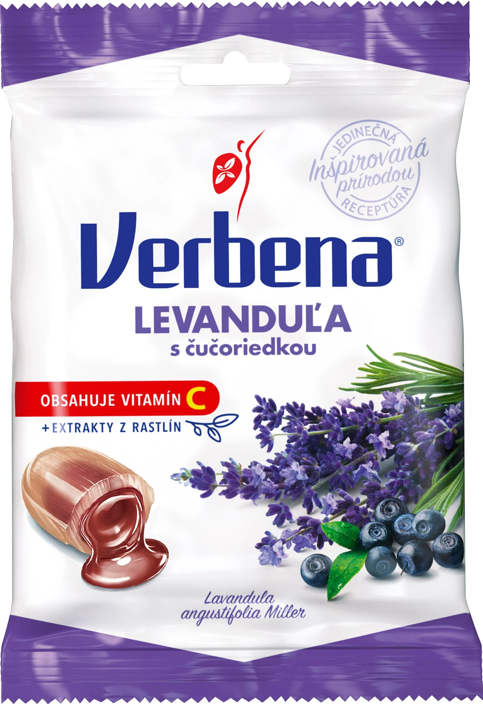 Verbena levanduľa