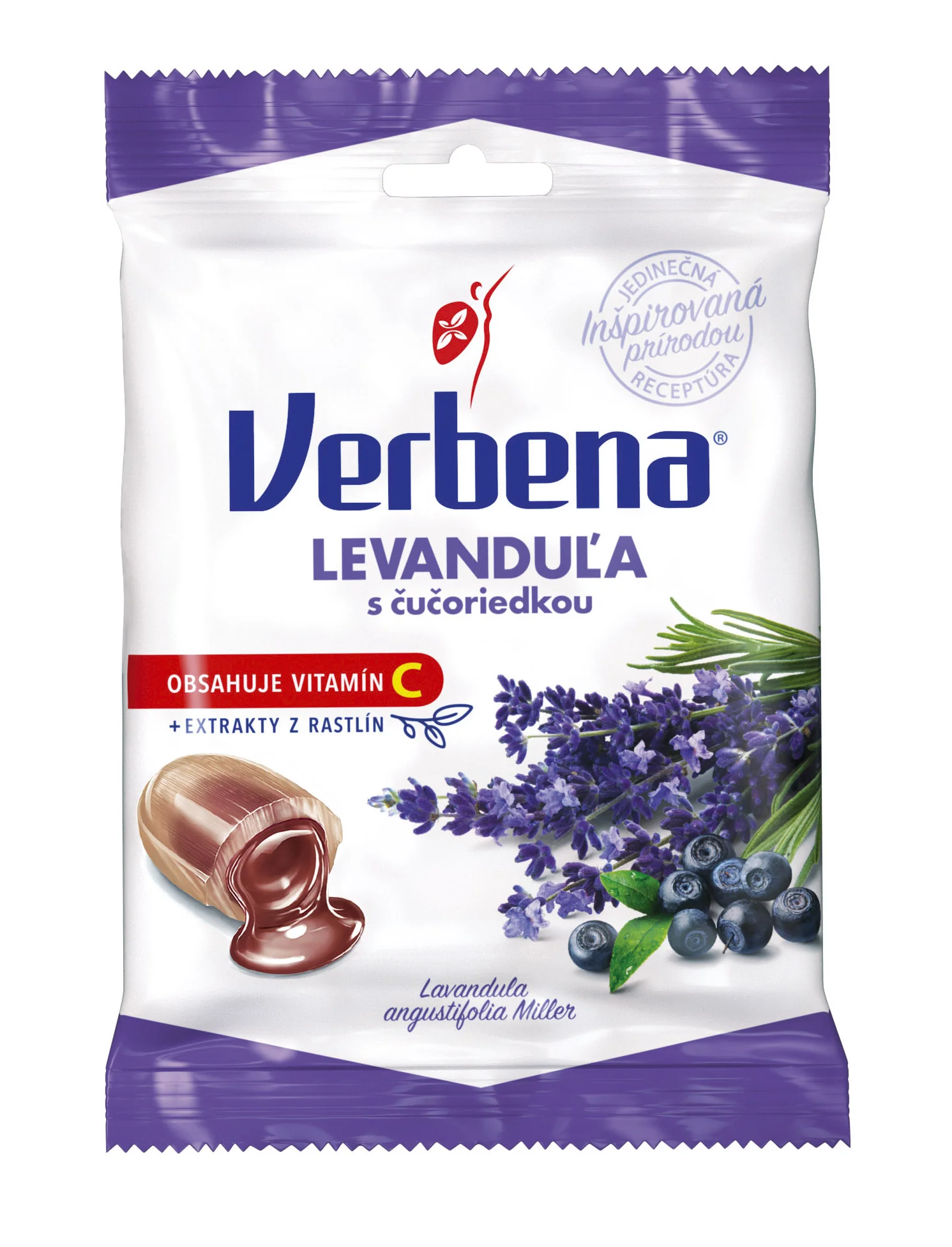 Verbena levanduľa