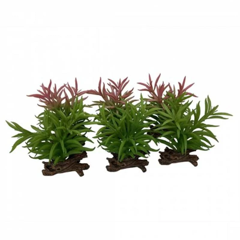 EBI TERRA DELLA Rastlina umelá CRASSULA mix farby 13x10,5x16cm 1ks