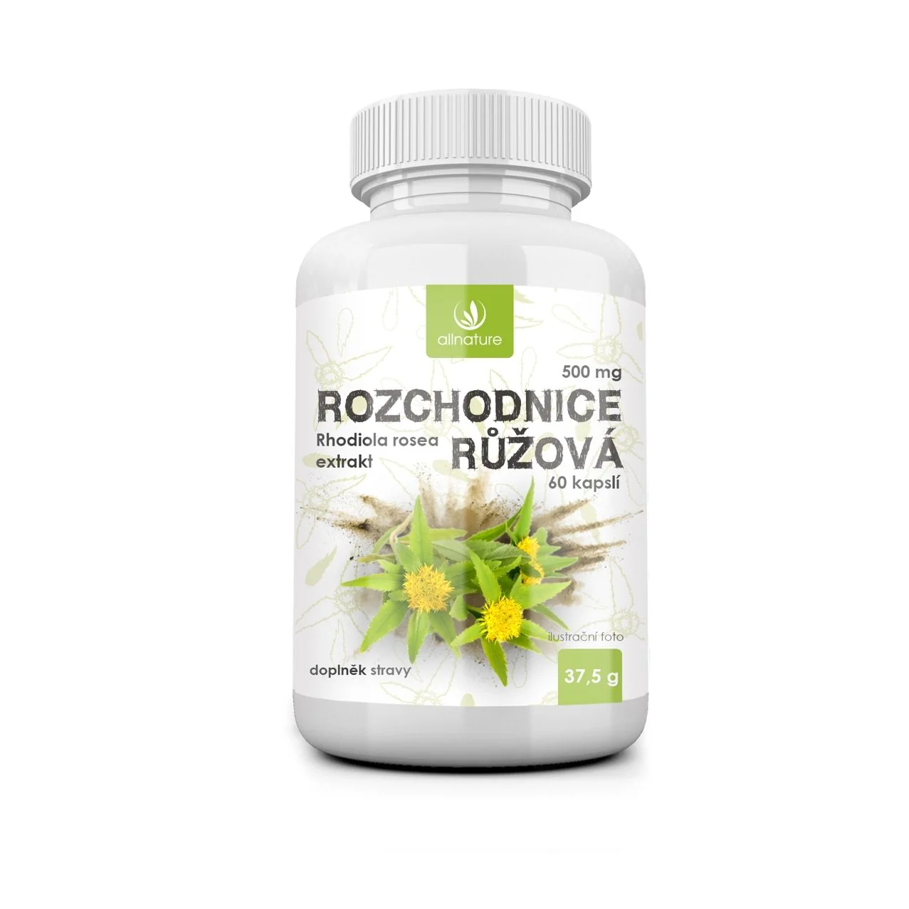 Allnature ROZCHODNICA RUŽOVÁ 500 mg 1×60 cps, výživový doplnok