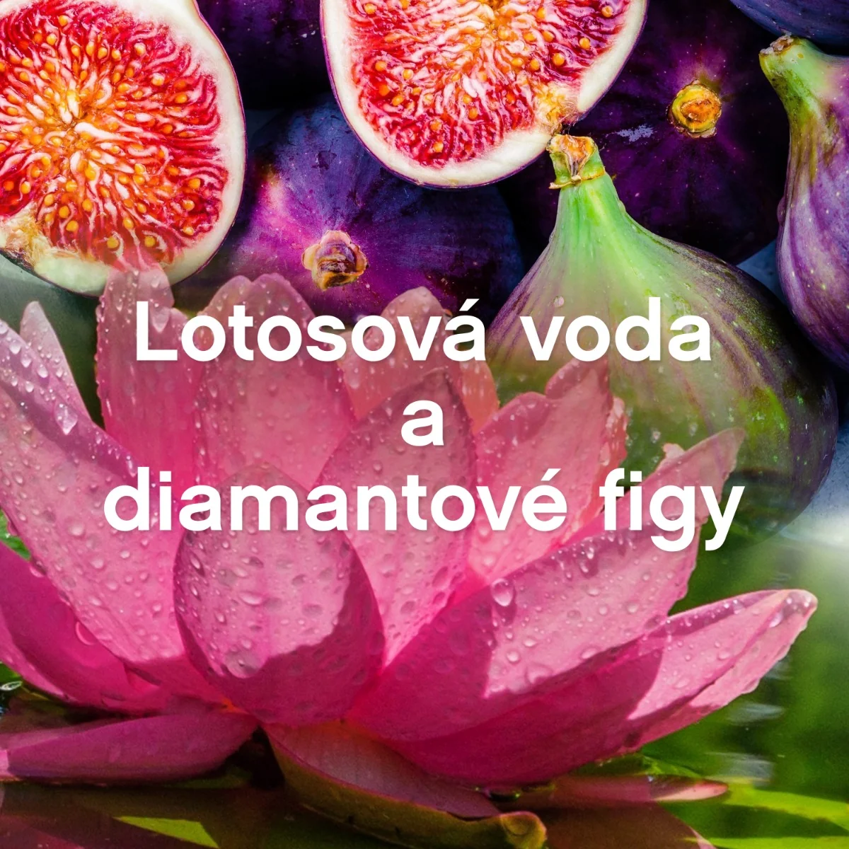 Lenor Aviváž 925ml, 37 praní Diamond Figs & Lotus Water 1×925 ml, aviváž