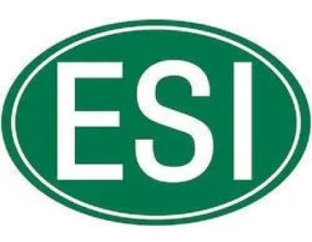 Esi