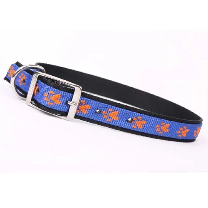 COBBYS PET obojok paw motives 30mm/65cm -modrá /oranžová