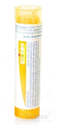 POLLEN DE GRAMINÉES   CH15 1x4 g