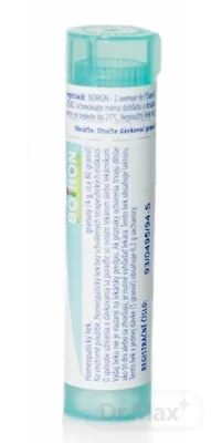 ARNICA MONTANA   CH200 1x4 g