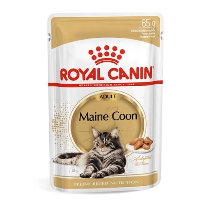 ROYAL CANIN FBN MAINE COON 85g kapsička pre mačky plemena Mainská mývalia