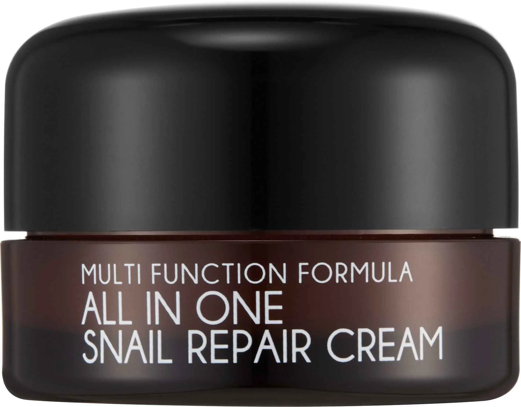 Mizon All In One Snail Repair Cream 15 g