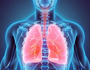 1. Zdravý dýchací systém