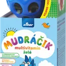 MUDRÁČIK multivitamín želé s loptičkou