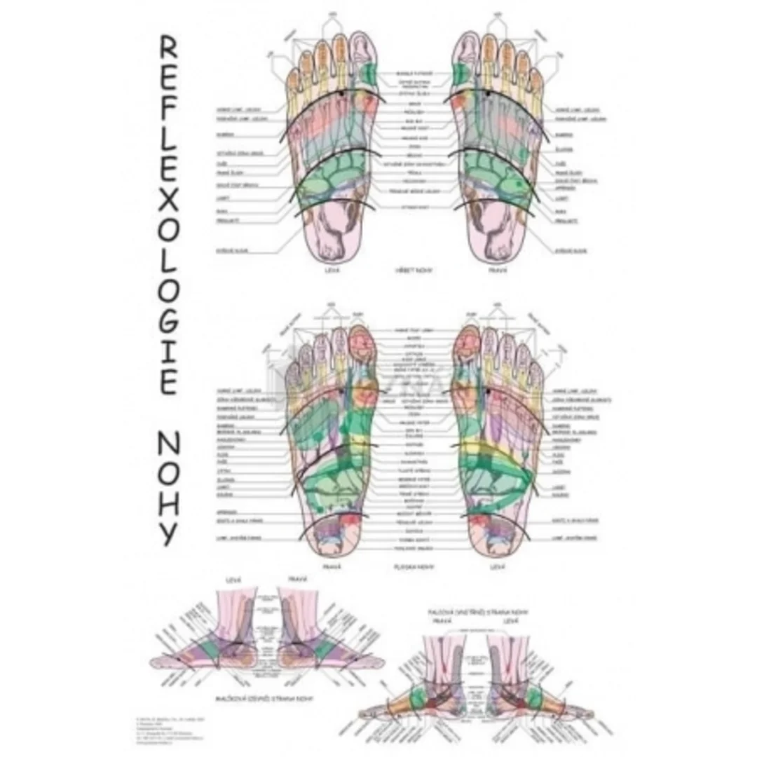 Reflexológia nohy 47x63cm