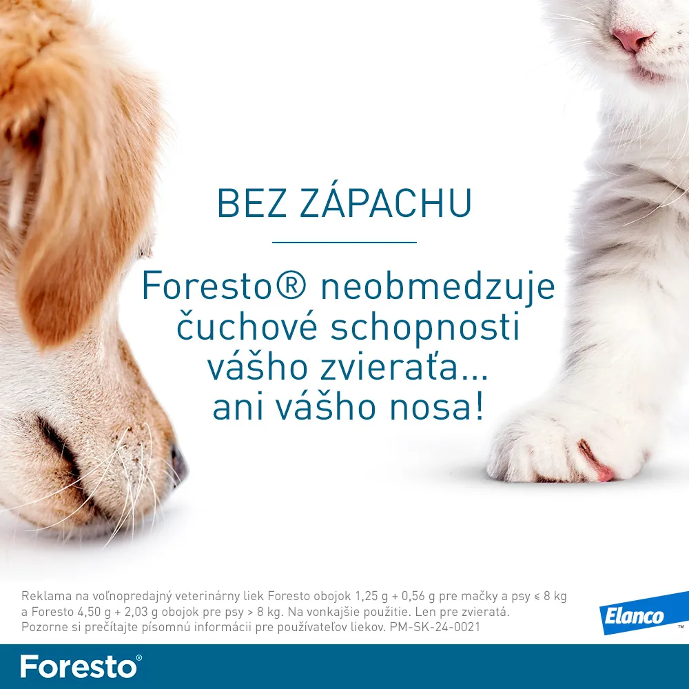 Foresto obojok pre mačky a psy do 8 kg 1×1 ks, antiparazitný