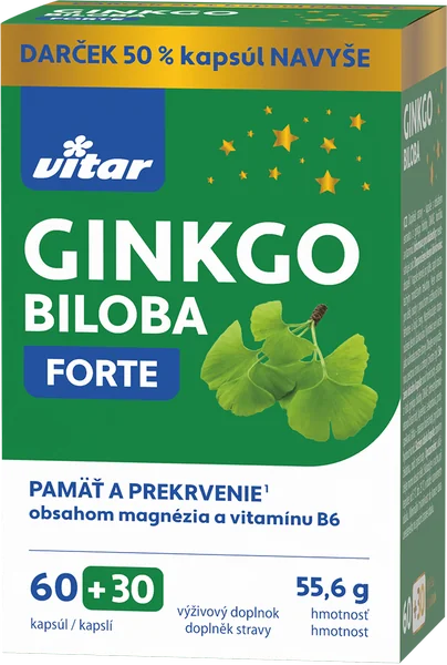 VITAR Ginkgo Biloba FORTE